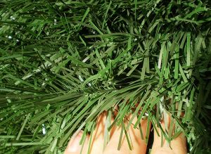 v�no�n� strome�ek na v�noce